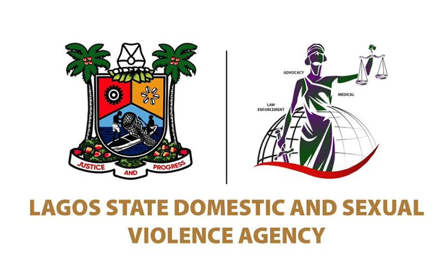 DSVA Logo
