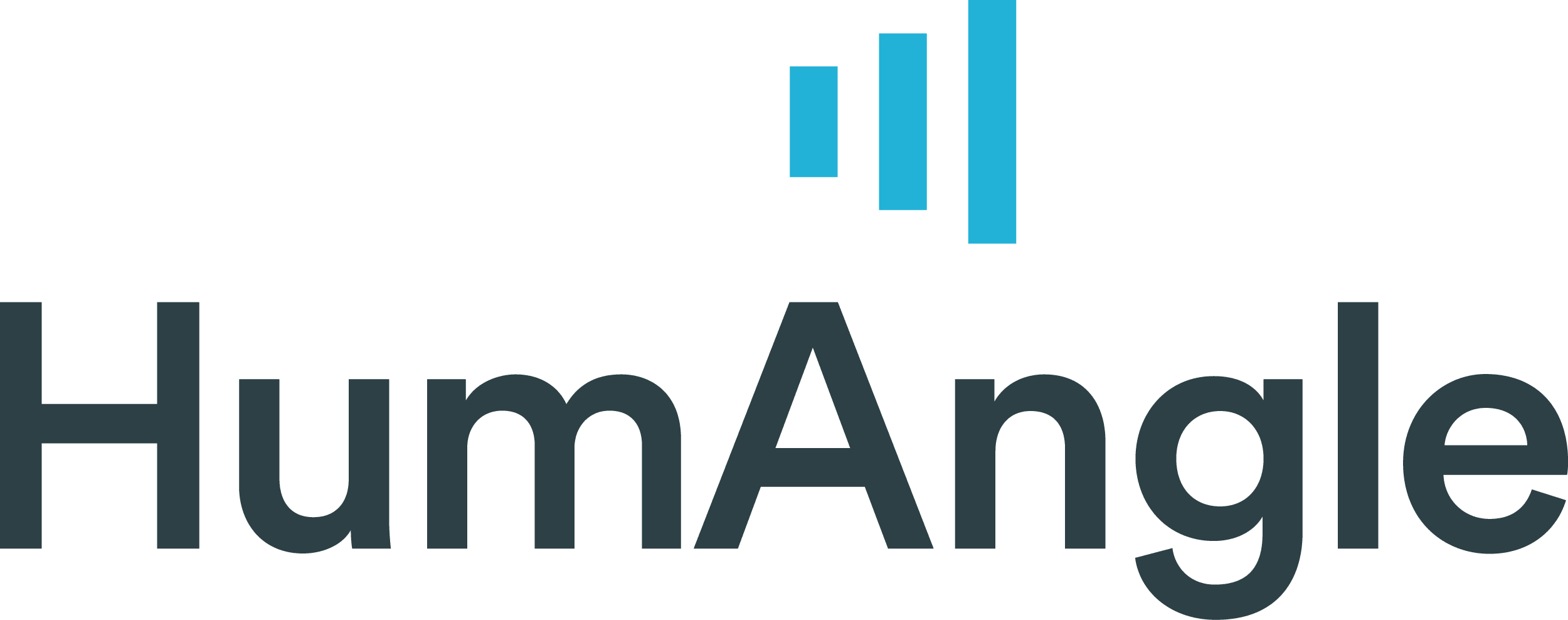 HumAngle Logo